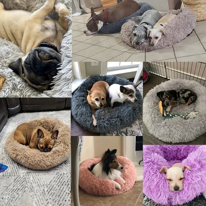 RoundBed™ – Panier apaisant ultra-doux pour chien & chat